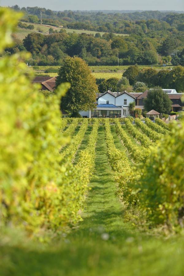 Denbies Vineyard Hotel Dorking Exterior foto